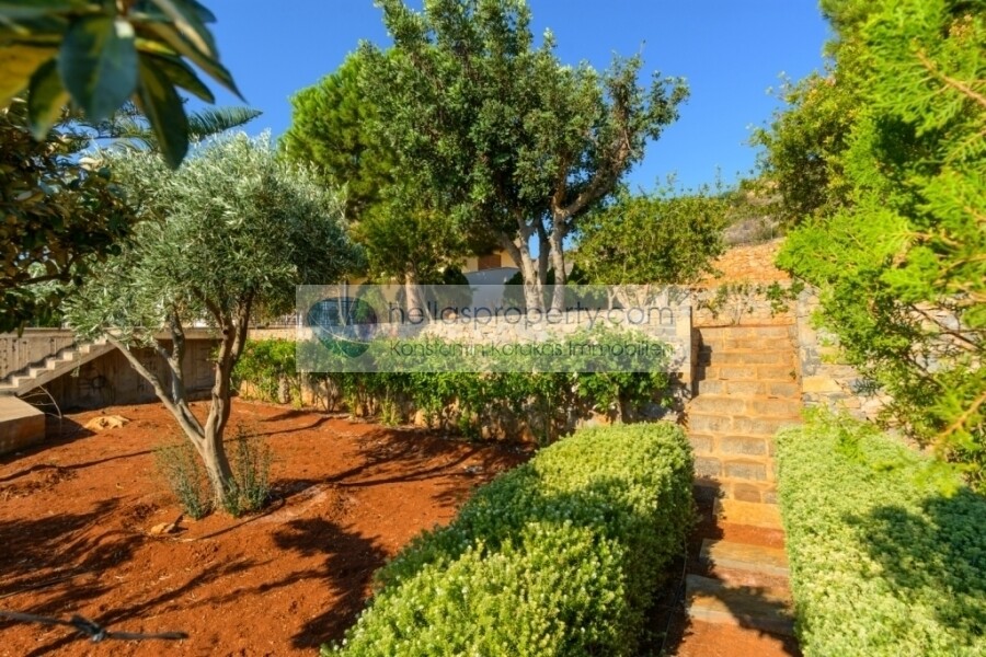 Agios Nikolaos 22
