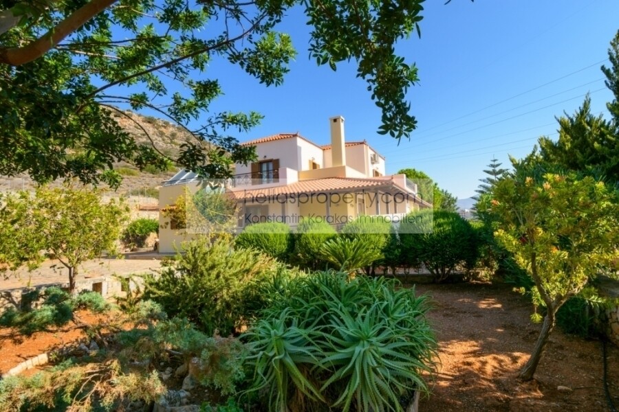 Agios Nikolaos 25