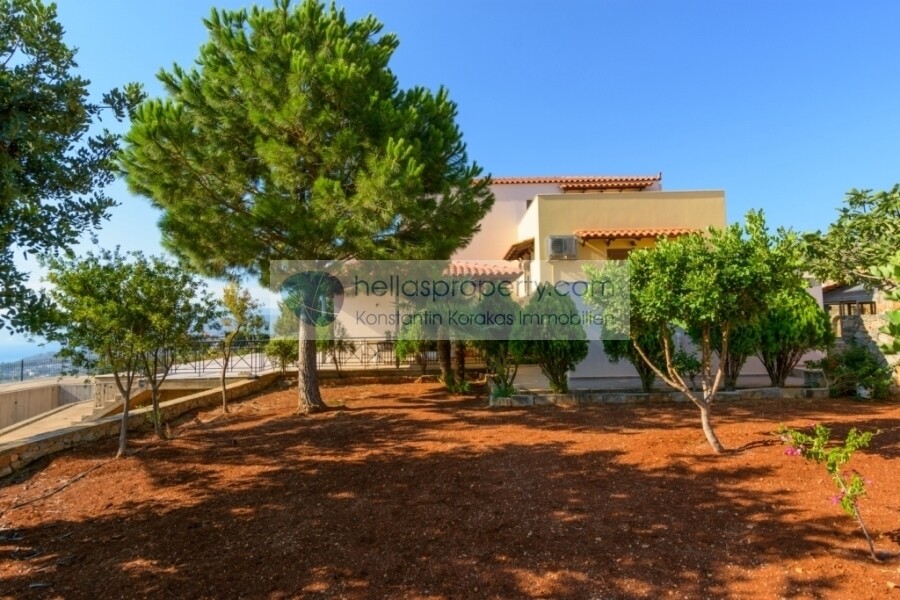 Agios Nikolaos 21