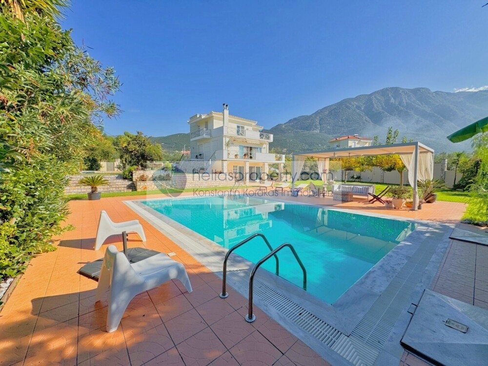 823b3fe831e94fe5a0a75cf1f6825fed-original