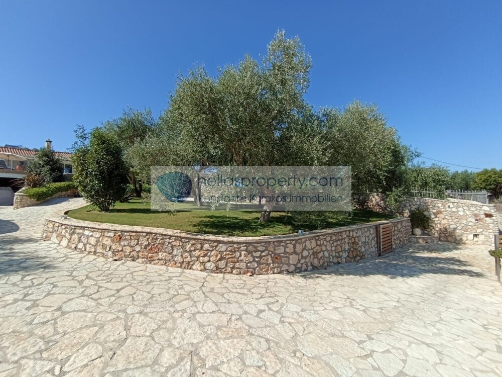Tsouknida 25