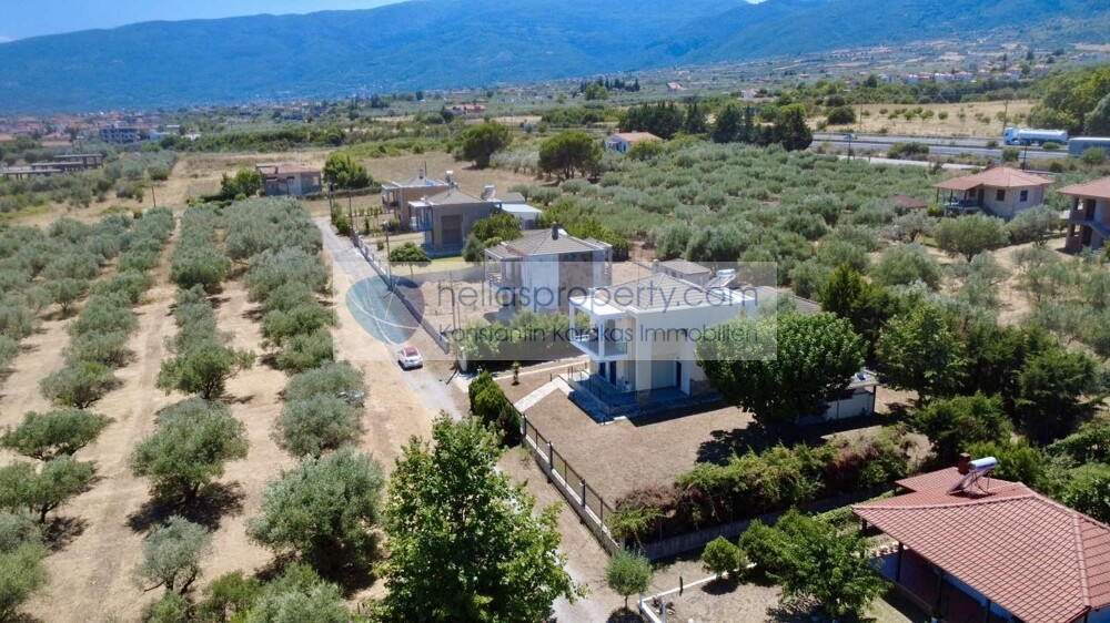 εικόνα_Viber_2026-07-14_18-31-54-706
