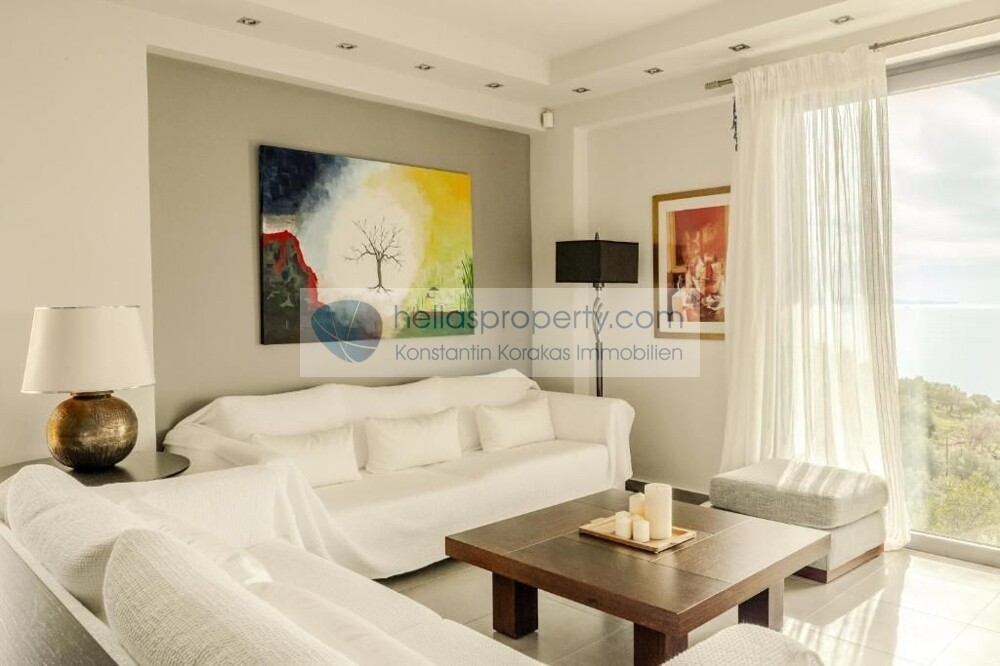 Villa Agia Paraskevi 4  (15)