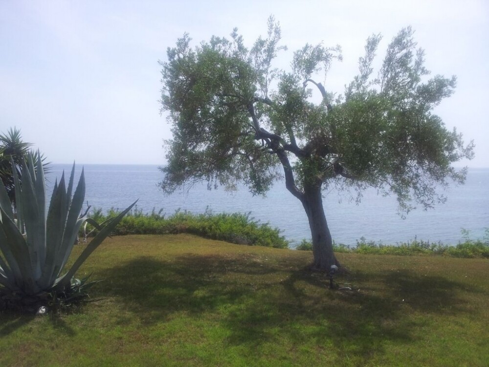 VILLA HALKIDIKI SITHONIA