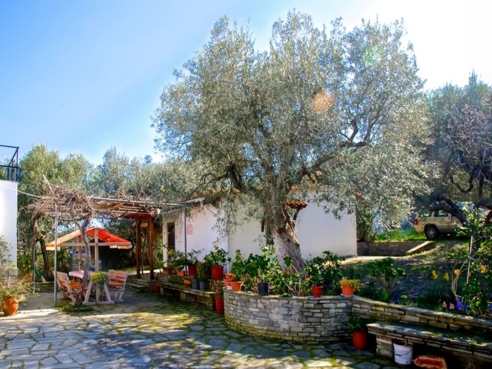 DETACHED HOUSE HALKIDIKI