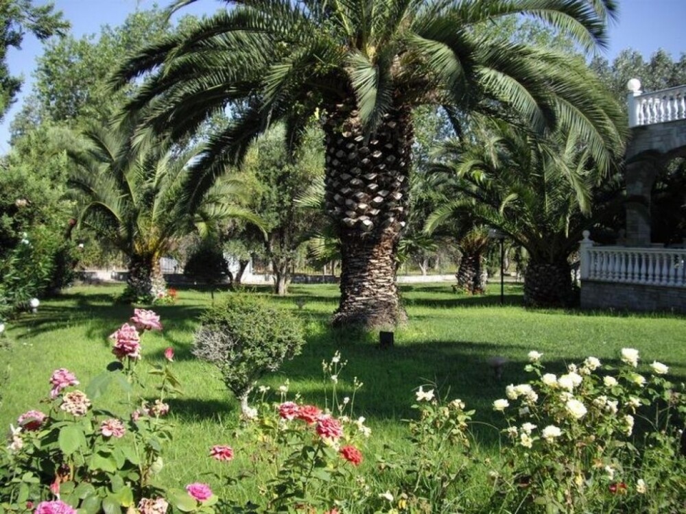 VILLA HALKIDIKI KASSANDRA