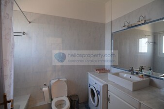 P1012 (42)