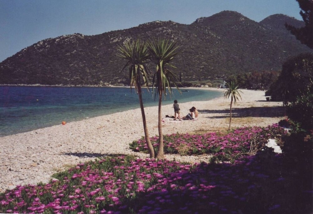 Beach.png