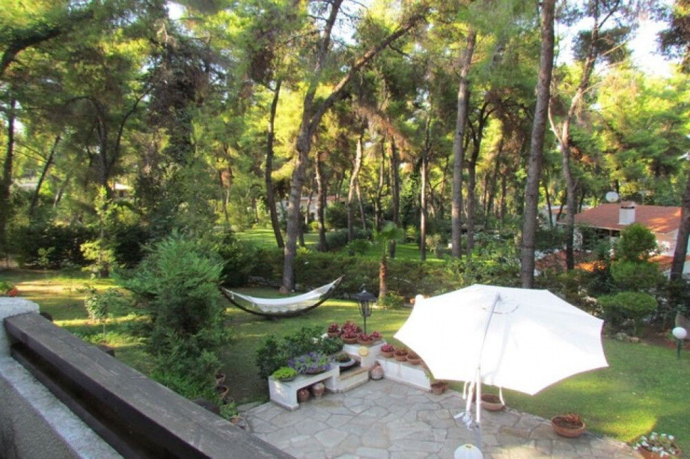 DETACHED HOUSE HALKIDIKI