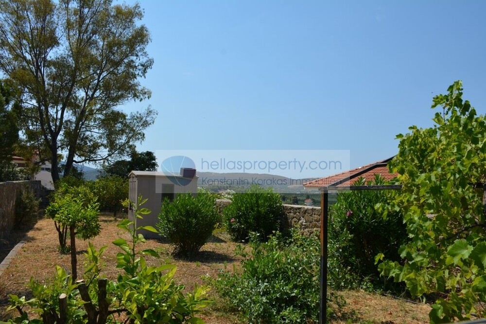 DSC_2437