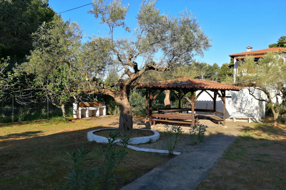DETACHED HOUSE HALKIDIKI