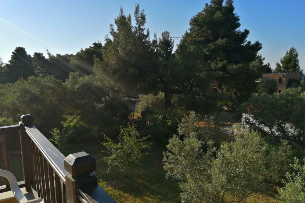 DETACHED HOUSE HALKIDIKI