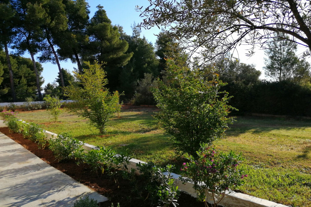 DETACHED HOUSE HALKIDIKI