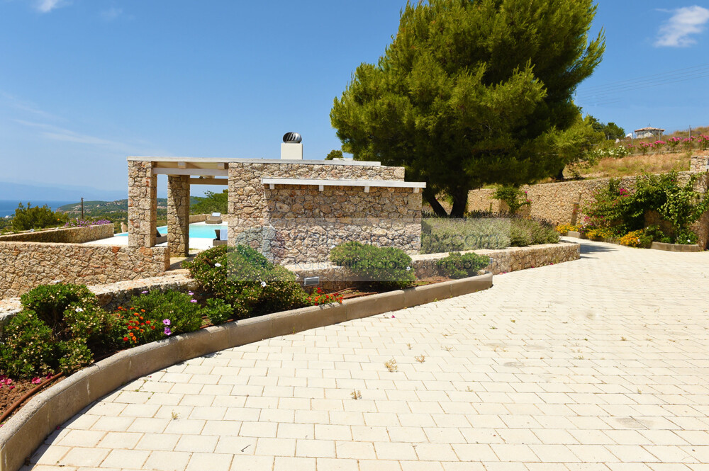 P1769 (10)