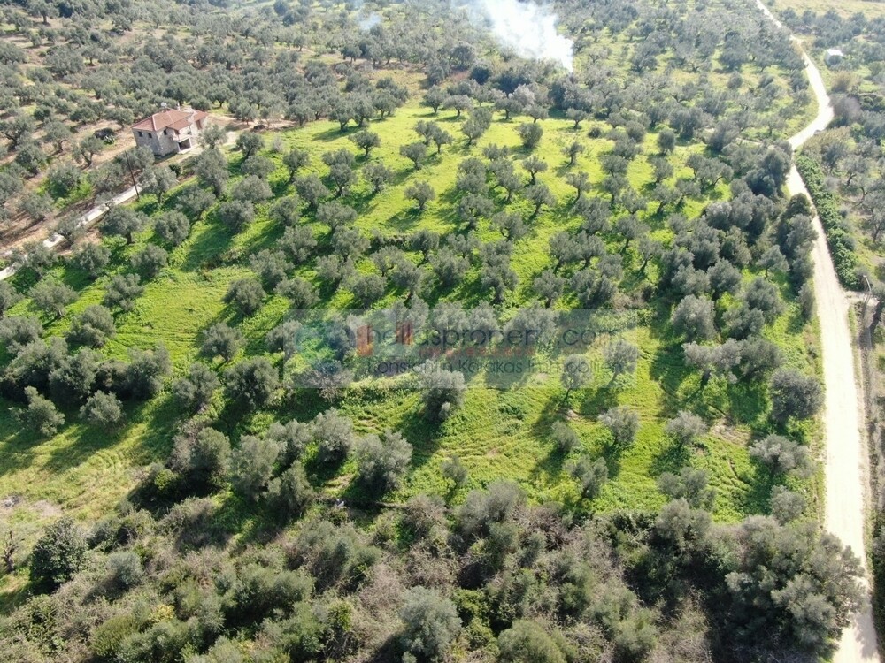 Image00012