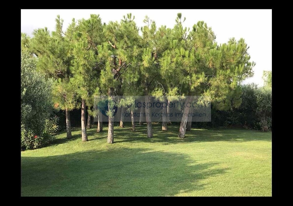 Villa Hersonisos (19)