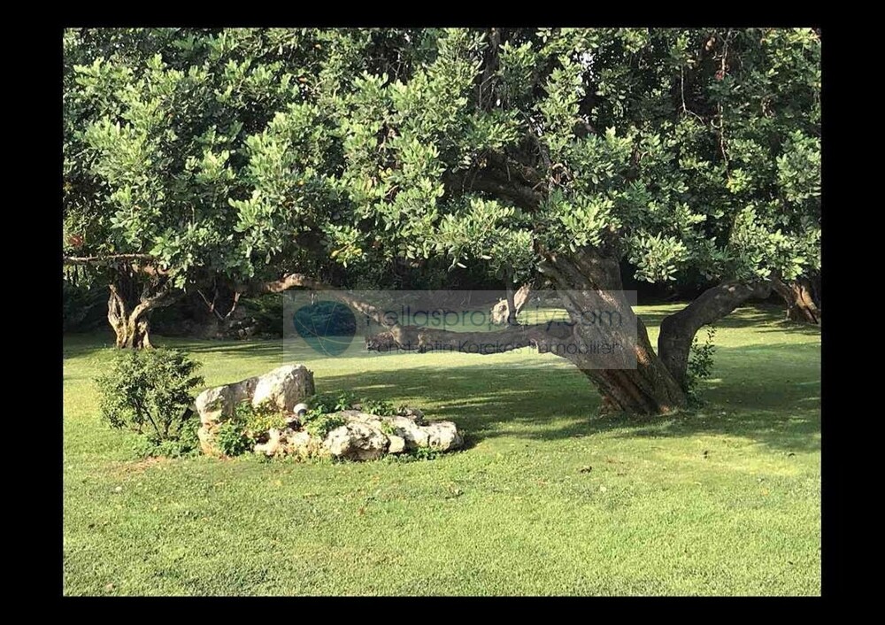Villa Hersonisos (20)