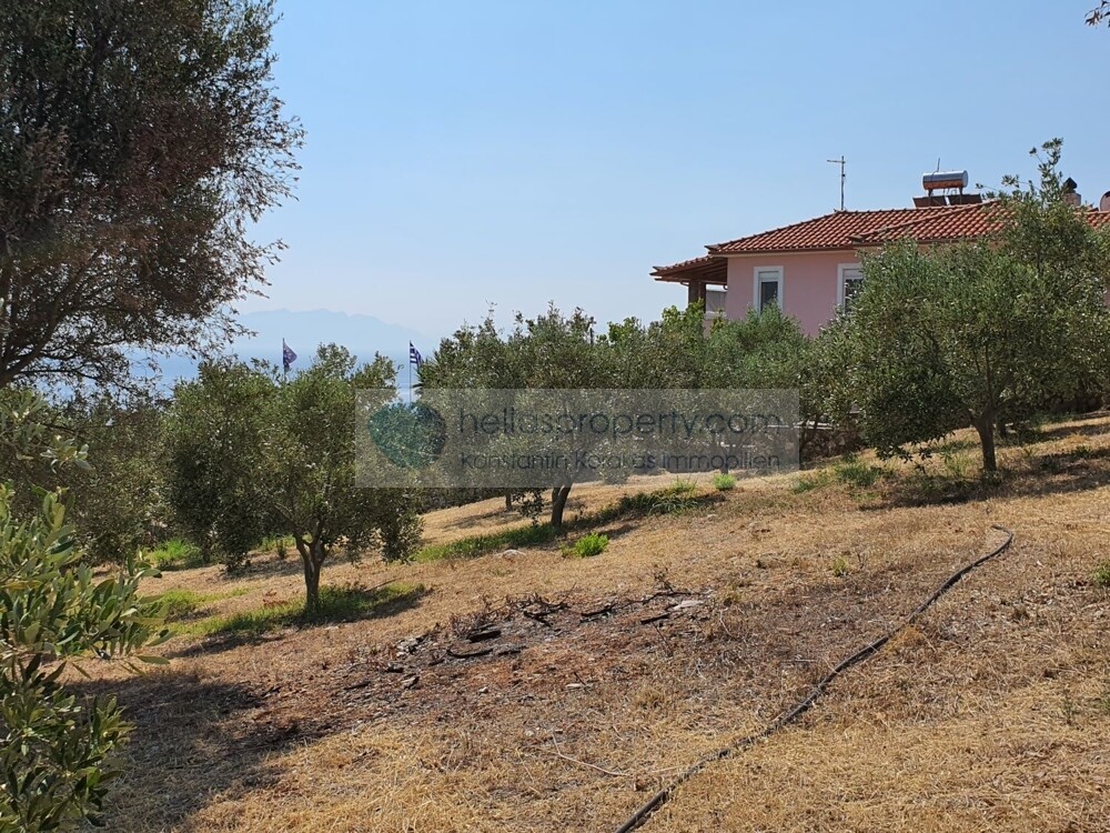 Villa Petalidi (56a