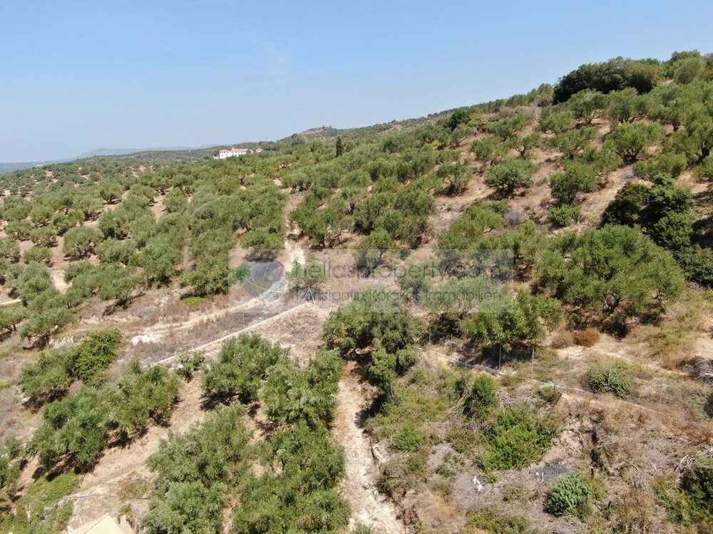 DJI_0727