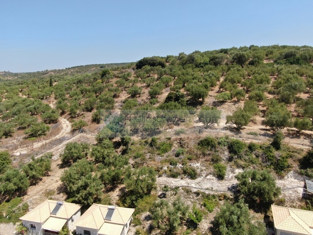 DJI_0728
