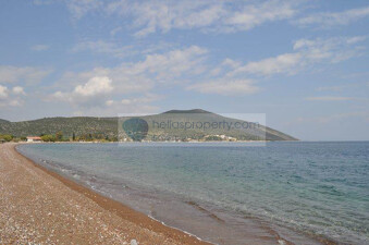 632 (13)