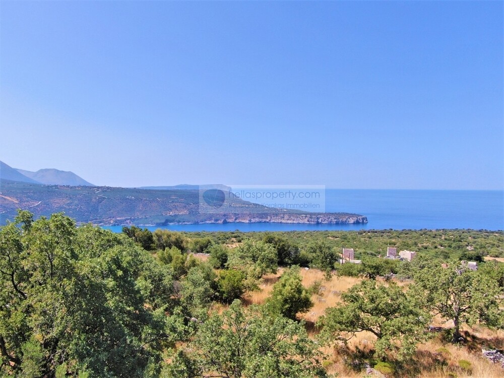 DJI_0568