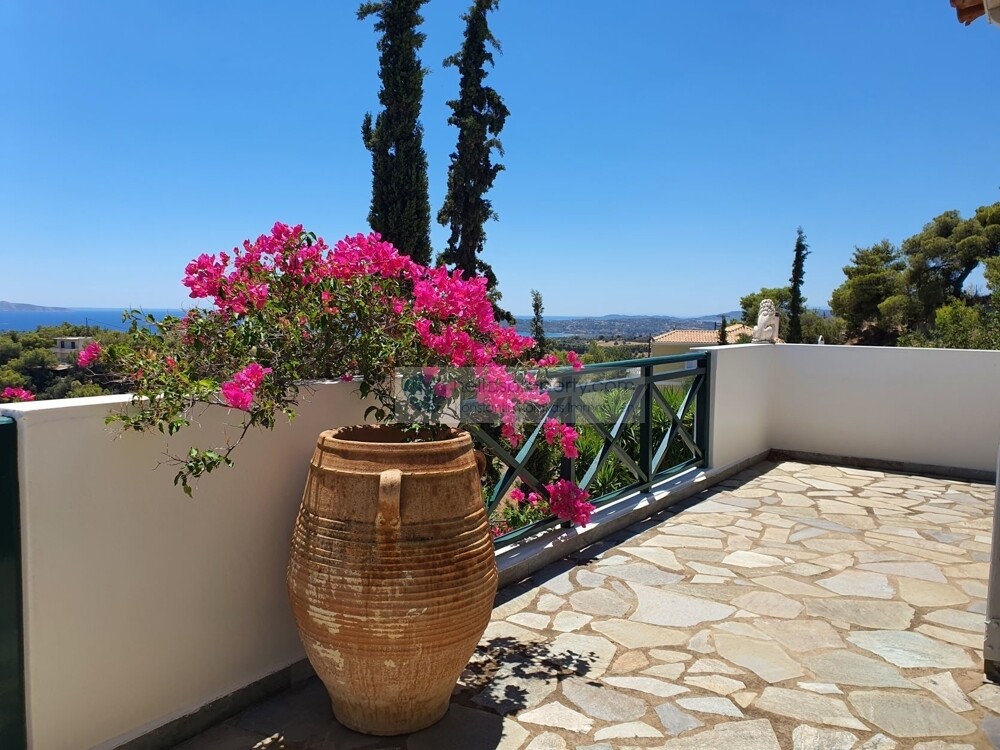 Blick vom Balkon 