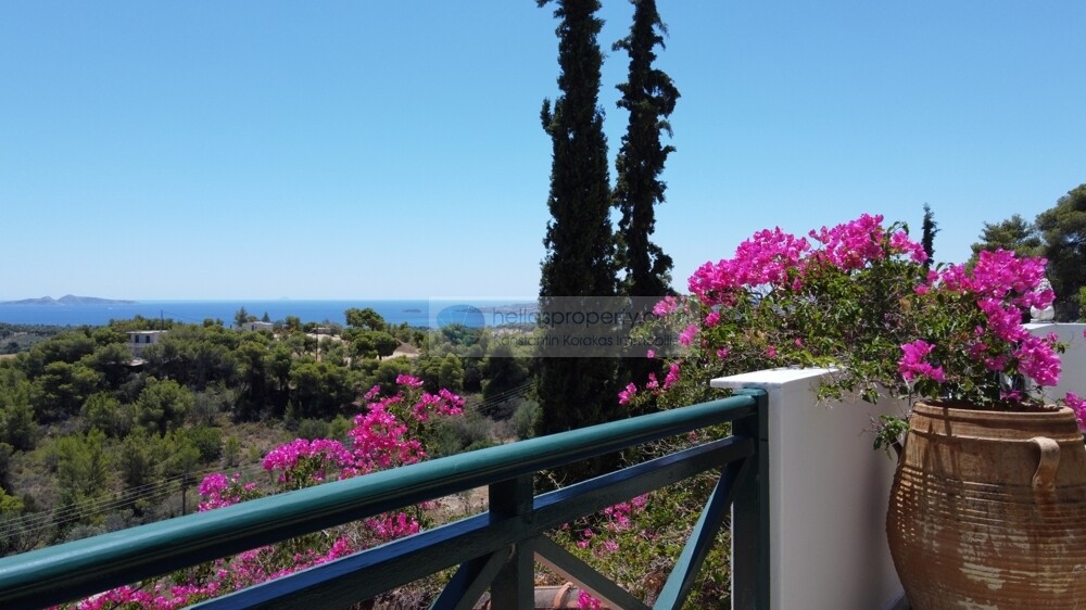 Weitblick vom Balkon