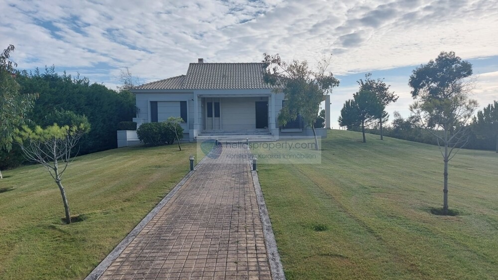 N2325  (46)