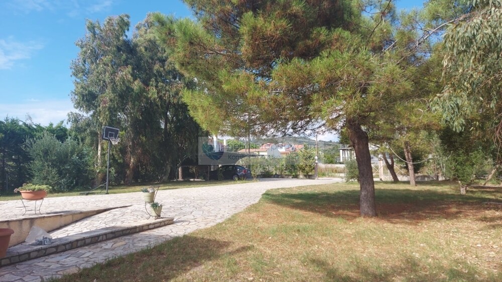 Preveza 1 (17)