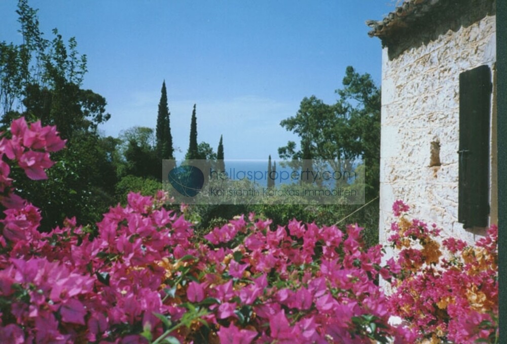 TERRASSENAUSSICHT