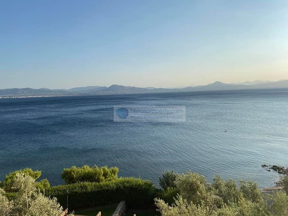 sea view2