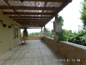 SAM_3690