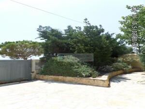 SAM_3677