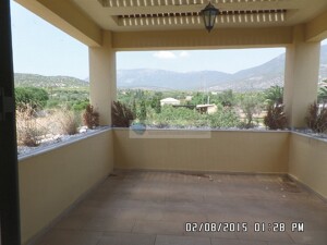 SAM_3749