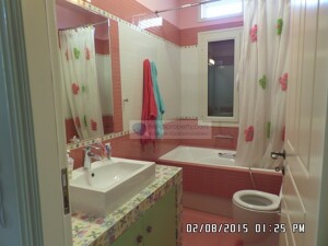 SAM_3736