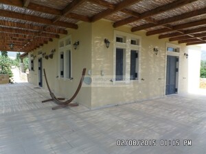 SAM_3694