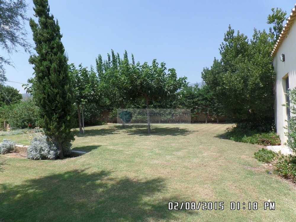 SAM_3701