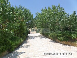 SAM_3674