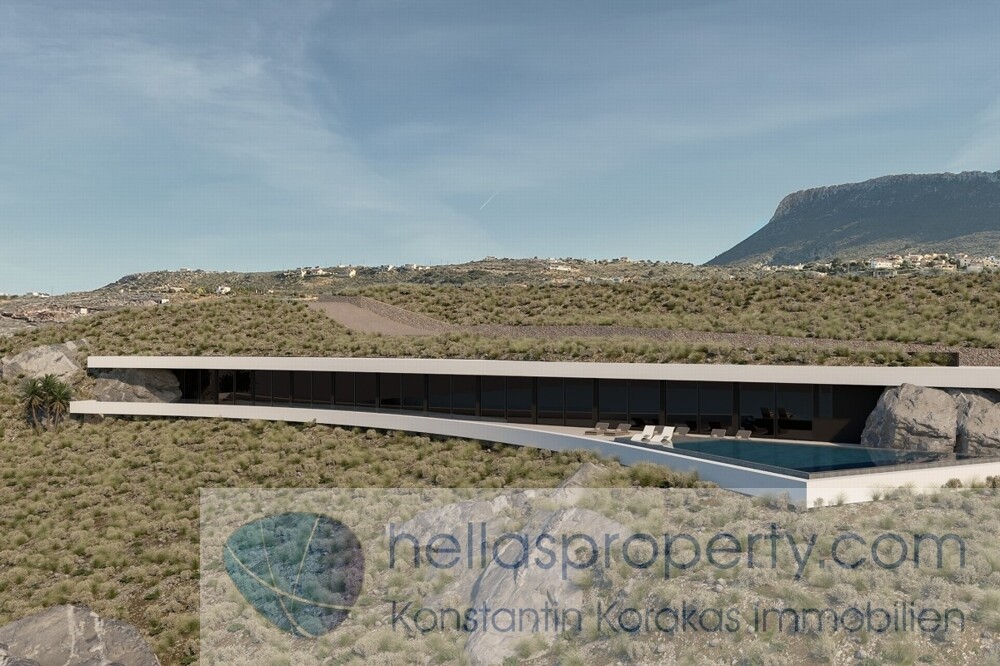 Project New Cave Style luxury Villa (5)