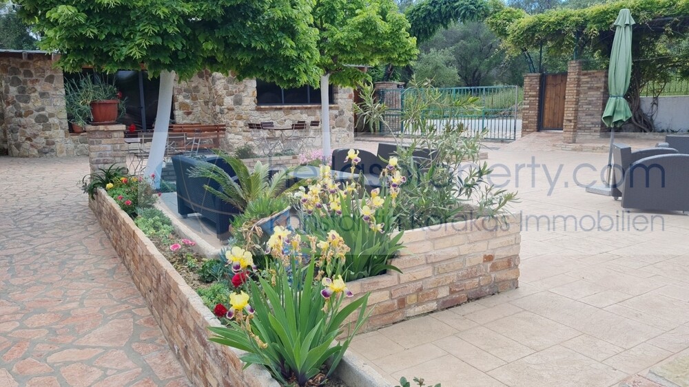 Garten 2