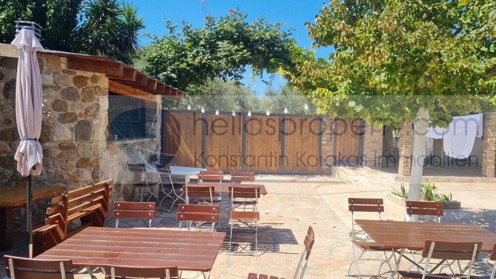 Barbeque 4