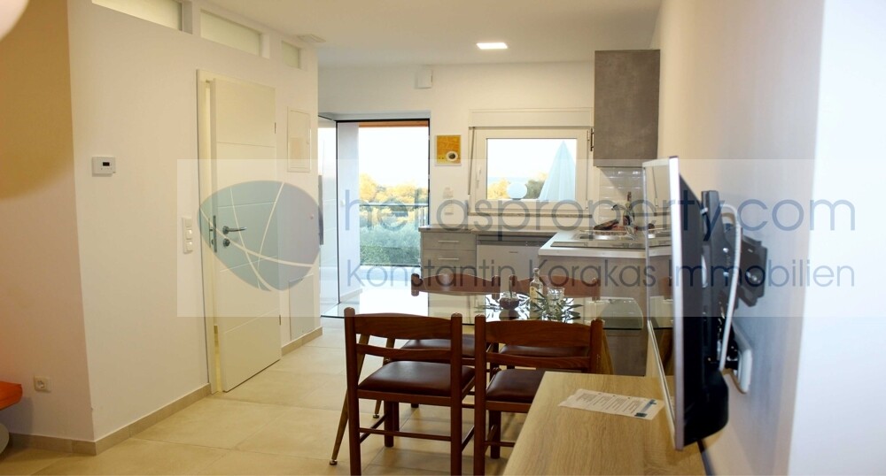 Suite 11 (5)