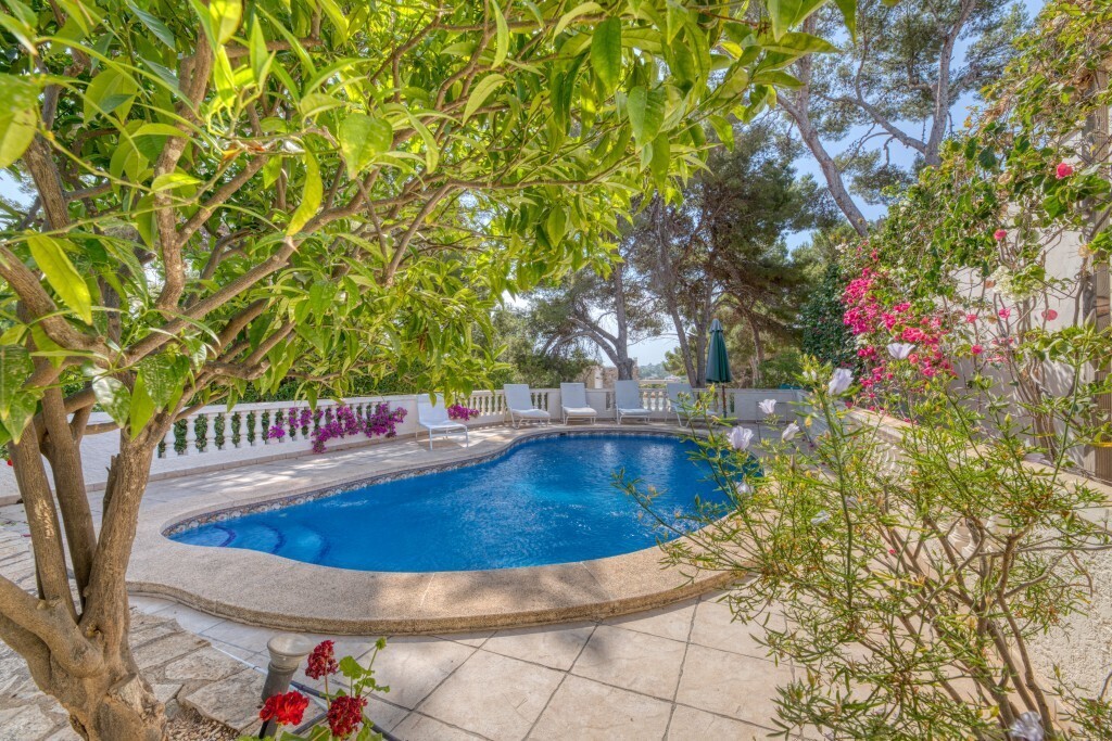 CBHAAP340_6964_1024_V0_ED56