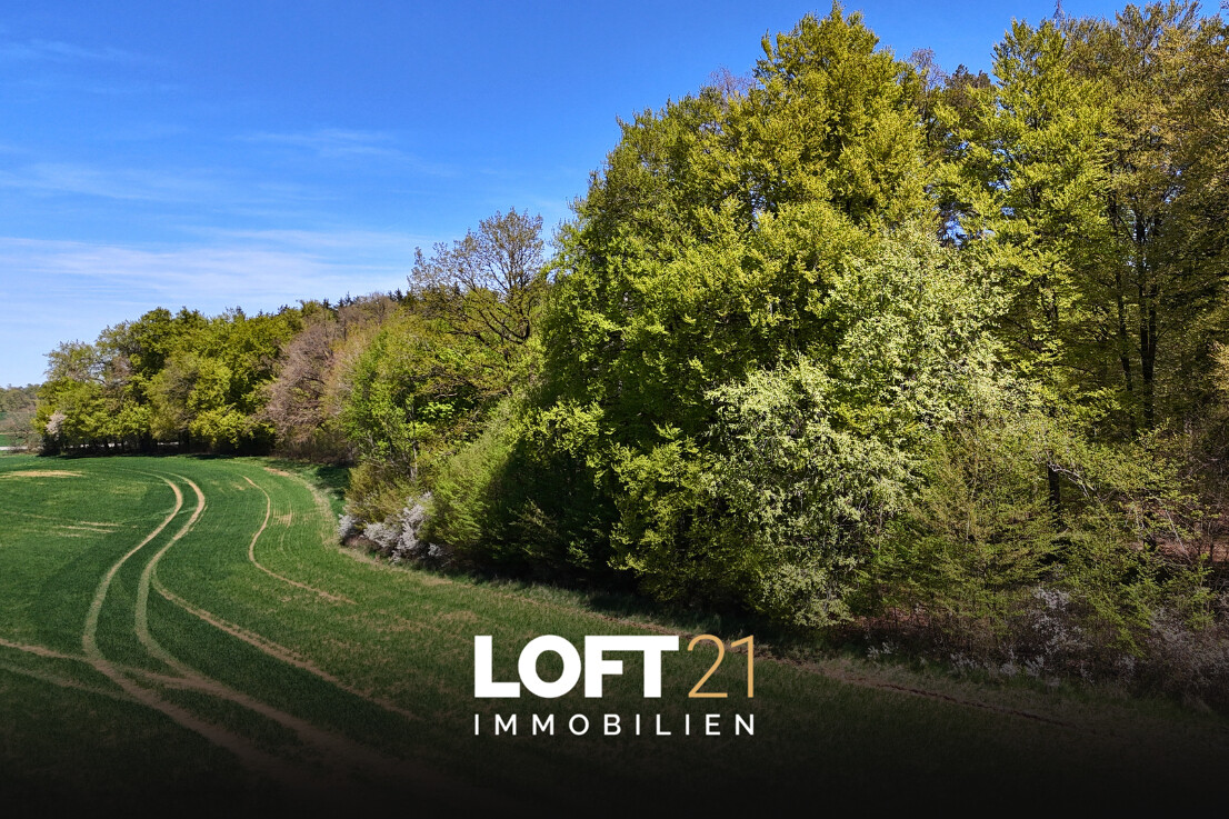 LOFT21 Immobilien
