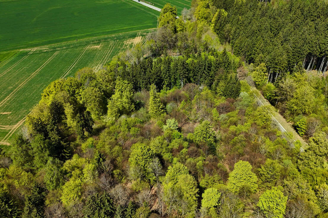 Vogelperspektive