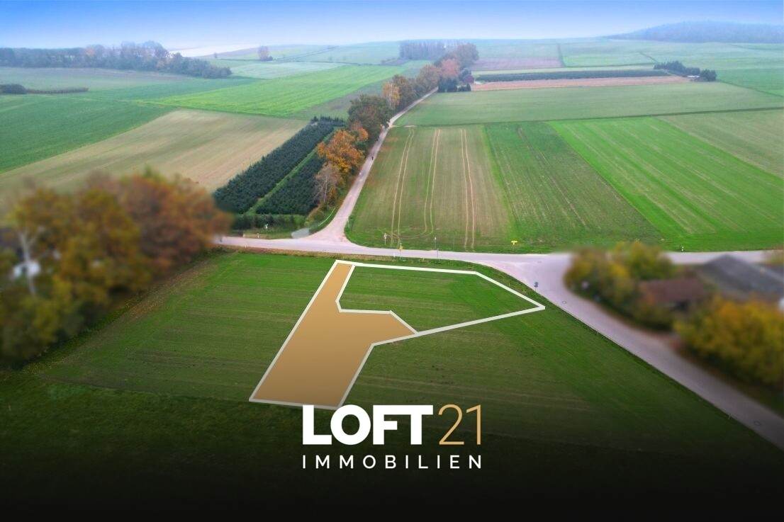 LOFT21 Immobilien