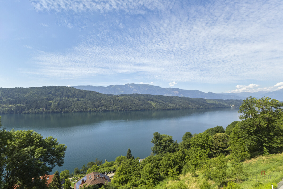 Ausblick