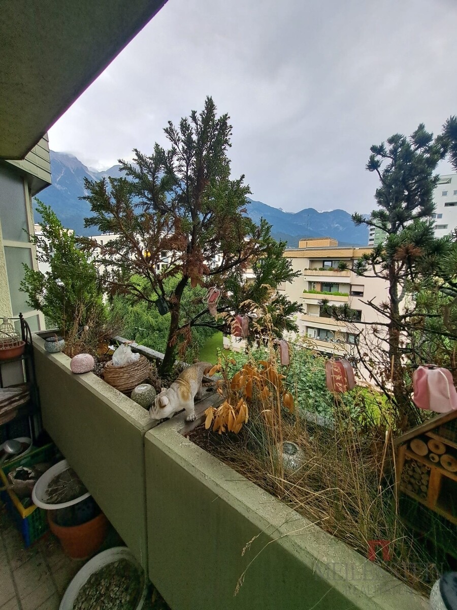 284cf3da-0cdb-461b-80b0-6b3393e4bc40_original