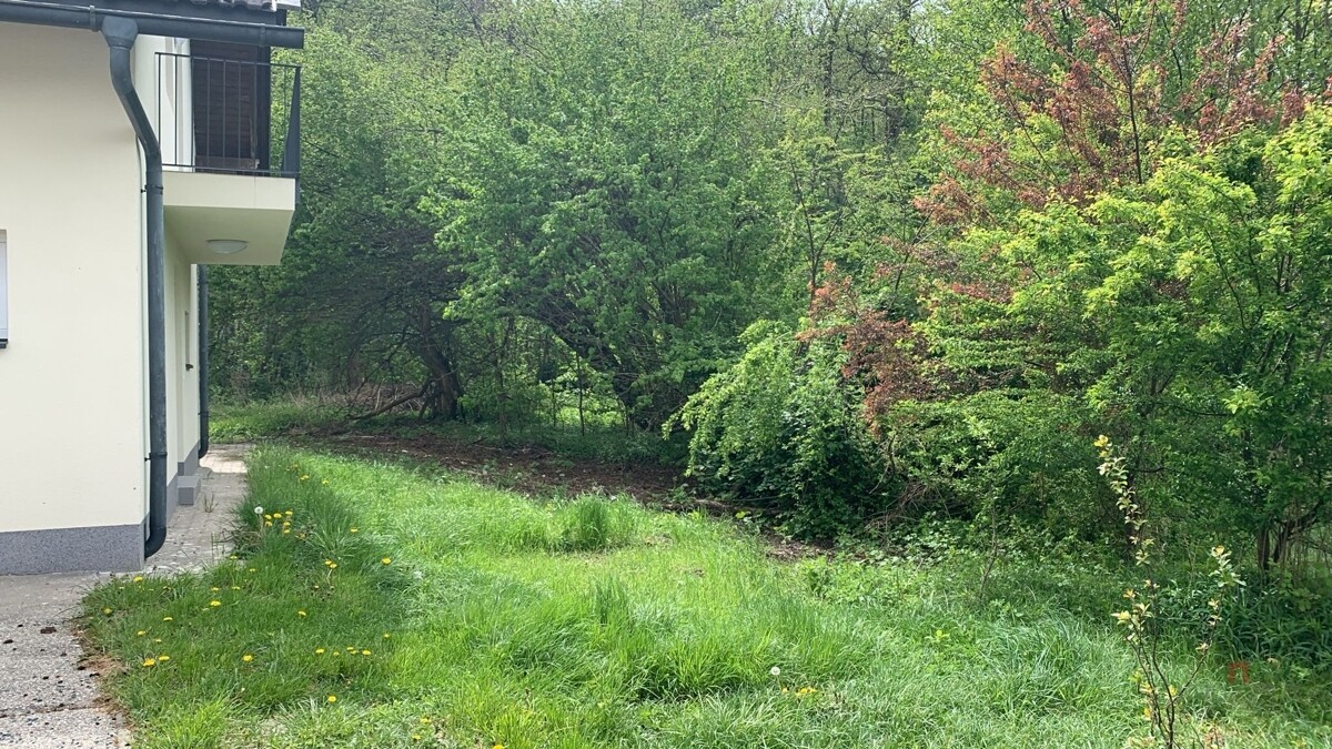 WhatsApp Image 2026-01-20 at 21.49.16 (1)